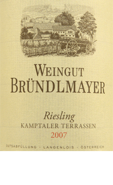 Brundlmayer - Riesling Kamptaler Terrassen 2020 (750ml) (750ml)