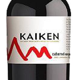 Kaiken - Cabernet Sauvignon Mendoza 2021 (750ml) (750ml)